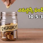 Emergency Fund Rule: ఎమర్జెన్సీ ఫండ్ కోసం.. 10-5-3 రూల్ తో ఇన్వెస్ట్మెంట్ ఇలా?