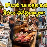 Fish Consumption: అమ్మో, రోజుకు లక్షల టన్నులా.. ఈ దేశం మొత్తం చేపలు తిని బతికేస్తున్నారు బ్రో!