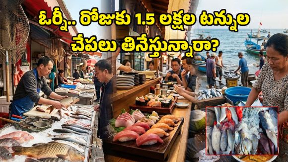 Fish Consumption: అమ్మో, రోజుకు లక్షల టన్నులా.. ఈ దేశం మొత్తం చేపలు తిని బతికేస్తున్నారు బ్రో!
