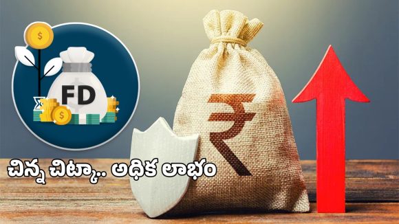 FD Laddering: చిన్న మొత్తాల్లో ఫిక్స్ డ్ డిపాజిట్లు.. ల్యాడరింగ్ టెక్నిక్ తెలుసా?