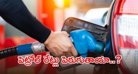 Fuel supply India: దేశంలో పెట్రోల్ కొరత ఉందా..? ఇంధన ధరలపై మోదీ సర్కార్ సంచలన నిర్ణయం