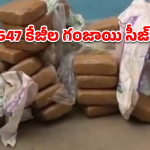 Ganja Seizure: క్యాబేజీ లోడ్‌లో కోట్లాది రూపాయల గంజాయి.. ఎలా దొరికిపోయారో చూడండి!