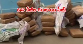 Ganja Seizure: క్యాబేజీ లోడ్‌లో కోట్లాది రూపాయల గంజాయి.. ఎలా దొరికిపోయారో చూడండి!