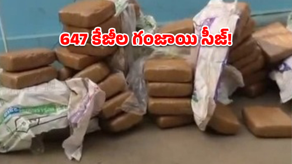 Ganja Seizure: క్యాబేజీ లోడ్‌లో కోట్లాది రూపాయల గంజాయి.. ఎలా దొరికిపోయారో చూడండి!