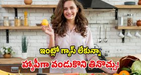 Gas Free Kitchen: గ్యాస్ లేకుండా వంట చేయడం ఎలా? ఇదేమి కష్టం కాదండోయ్.. చాలా ఈజీగా చేసేయోచ్చు!