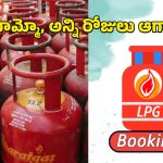 LPG Cylinder Booking: వంట గ్యాస్‌పై మరో పిడుగు.. బుకింగ్ గడువు రోజులను మరింత పెంచిన కేంద్రం