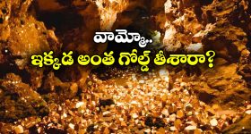 Saunf Water: సోంపు వాటర్ శరీరంలో వేడిని తగ్గిస్తుందా ? ఈ విషయాలు తెలుసుకోండి