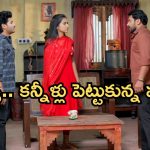 Podarillu Today Episode : శైలుకు దిమ్మతిరిగే ట్విస్ట్.. కన్నీళ్లు పెట్టుకున్న గాయత్రి.. మాధవ్ పెళ్లి కోసం మహా నిర్ణయం..?