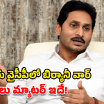 Guntur YSRCP: గుంటూరు వైసీపీలో బిర్యానీ వార్.. జగన్ షెడ్యూల్ మార్పు వెనుక అసలు కథ ఇదే!