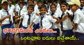 Half Day Schools: స్టూడెంట్స్‌కు గుడ్ న్యూస్.. ఈ 15 నుంచి రాష్ట్రంలో ఒంటిపూట బడులు