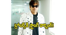 Harish Shankar: ట్రోలర్స్‌పై ఘాటుగా స్పందించిన హరీష్ శంకర్.. హద్దు మీరితే అదే చేస్తా!