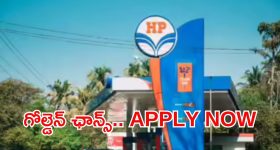 TTP Warns PSL 2026: త‌ల‌లు తెగిపడ‌తాయి, వెంట‌నే పాకిస్తాన్ ను వ‌దిలి వెళ్లిపోండి..విదేశీ క్రికెట‌ర్ల‌కు ఉగ్ర‌వాదుల హెచ్చ‌రిక‌