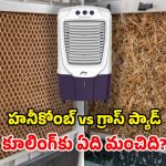 Air Cooler: హనీకోంబ్ ప్యాడ్ vs గ్రాస్ ప్యాడ్.. రెండింటిలో ఏ కూలర్ కొంటే బెటర్?