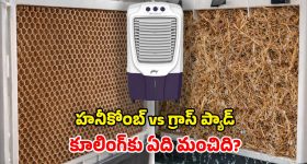 Air Cooler: హనీకోంబ్ ప్యాడ్ vs గ్రాస్ ప్యాడ్.. రెండింటిలో ఏ కూలర్ కొంటే బెటర్?