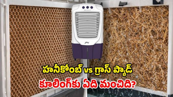 Air Cooler: హనీకోంబ్ ప్యాడ్ vs గ్రాస్ ప్యాడ్.. రెండింటిలో ఏ కూలర్ కొంటే బెటర్?