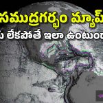 Sea Map: సముద్రంలోని నీరంతా ఇంకిపోతే.. ఇదిగో NASA రిలీజ్ చేసిన ఈ సీ-మ్యాప్ చూడండి