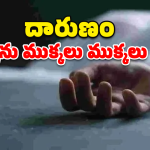 Hyderabad Murder: సొంత అక్కనే నరికి చంపిన తమ్ముడు.. పోలీసుల విచారణలో విస్తుపోయే నిజాలు!