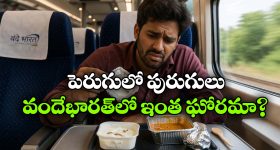 Richest IPL Cricketers: ధోని, కోహ్లీ, రోహిత్ ఎవ‌రూ కాదు..ఐపీఎల్ లో రిచెస్ట్ క్రికెట‌ర్ ఎవ‌రంటే