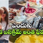 Unique Food Culture: ఐస్ క్రీమ్ క్యాపిటల్ ఆఫ్ ఇండియా.. అక్కడి ప్రజలు ఐస్ క్రీమ్ అంటే పడి చచ్చిపోతారు!
