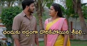 Krithi Shetty : గార్జీయస్ లుక్ లో మతిపోగొడుతున్న కృతి.. బేబమ్మ సూపర్..