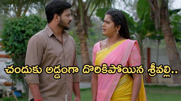 Illu Illalu Pillalu Today Episode: గుడ్ న్యూస్ చెప్పిన ప్రేమ.. ధీరజ్ మాటతో ఫుల్ హ్యాపీ.. ప్రేమ పై శ్రీవల్లి రివేంజ్ స్టార్ట్..