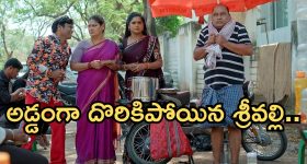 Karthika Deepam 2 Serial Today march 20th: ‘కార్తీక దీపం 2’ సీరియల్‌: కార్తీక్ ప్లాన్ సక్సెస్ - హాస్పిటల్ నుంచి బయటకు వెళ్లిన పారిజాతం   