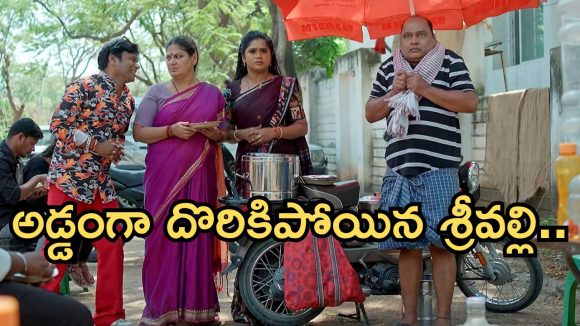 Illu Illalu Pillalu Today Episode: ధీరజ్ పై రామరాజు ప్రశంసలు.. బాధపడుతున్న సాగర్.. శ్రీవల్లి బండారం బయటపడుతుందా..?