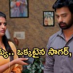 ఇల్లు ఇల్లాలు పిల్లలు.. మార్చి 29: బిందె పై శ్రీవల్లి డ్యాన్స్..చుక్కలు చూపించిన నర్మద..సాగర్, నర్మద ఒక్కటవుతారా?