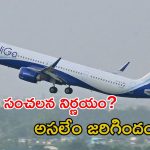 Indigo CEO: విమానాల రద్దు గందరగోళం ఎఫెక్ట్.. ఇండిగో సీఈవో రాజీనామా