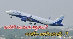 Indigo CEO: విమానాల రద్దు గందరగోళం ఎఫెక్ట్.. ఇండిగో సీఈవో రాజీనామా
