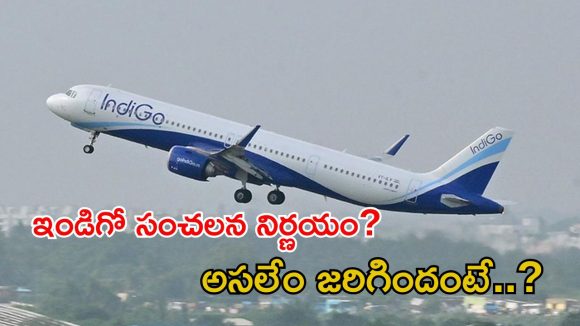 Indigo CEO: విమానాల రద్దు గందరగోళం ఎఫెక్ట్.. ఇండిగో సీఈవో రాజీనామా