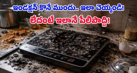 రూ.800కే ఇండక్షన్ స్టవ్ అని ఎగబడి కొన్నారు.. కట్ చేస్తే, ఢాం!