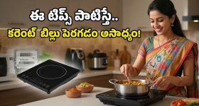 Induction Stove Tips: ఇండక్షన్ స్టవ్ వాడుతూ కరెంటు బిల్లును సగానికి తగ్గించుకోవచ్చు.. అదెలాగో తెలుసా?