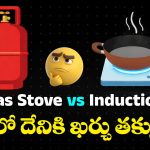 Induction vs Gas Stove: ఇండెక్షన్ స్టవ్ కొంటున్నారా? గ్యాస్‌తో పోల్చితే.. దేనికి ఎక్కువ ఖర్చవుతుంది?