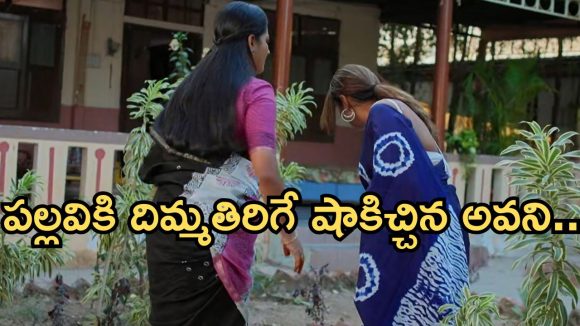 Intinti Ramayanam Today Episode: చక్రధర్ ను అవమానించిన భానుమతి.. పల్లవికి అవని స్ట్రాంగ్ వార్నింగ్.. పార్వతి కన్నీళ్లు..