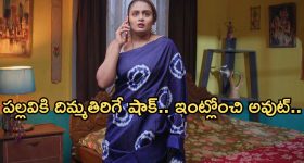 Intinti Ramayanam Today Episode: అవనికి నిజం చెప్పేసిన చక్రధర్.. పల్లవి గుట్టు రట్టు.. కూతురు కోసం భానుమతి కన్నీళ్లు..