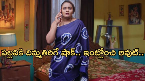 Intinti Ramayanam Today Episode: అవనికి నిజం చెప్పేసిన చక్రధర్.. పల్లవి గుట్టు రట్టు.. కూతురు కోసం భానుమతి కన్నీళ్లు..