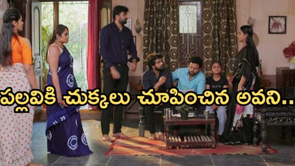 Intinti Ramayanam Today Episode: పల్లవికి చెమటలు.. పార్వతికి మాటిచ్చిన అవని.. నిజం బయటపడుతుందా..?