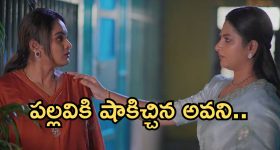 Intinti Ramayanam Today Episode: పార్వతికి మాటిచ్చిన అవని.. పల్లవిపై కమల్ కు అనుమానం.. అవని స్ట్రాంగ్ వార్నింగ్..