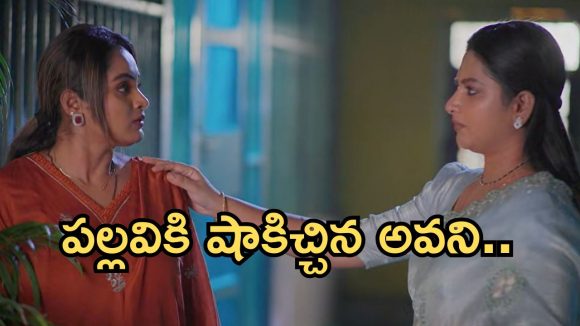 Intinti Ramayanam Today Episode: పార్వతికి మాటిచ్చిన అవని.. పల్లవిపై కమల్ కు అనుమానం.. అవని స్ట్రాంగ్ వార్నింగ్..