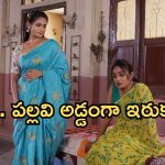 Intinti Ramayanam Today Episode: శ్రీయకు పల్లవి పై అనుమానం.. చక్రధర్ కు అవని వార్నింగ్.. మైండ్ బ్లాక్ అయ్యే ట్విస్ట్..