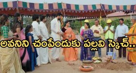 Automatic atta chakki: బటన్ నొక్కగానే ఇంట్లో గోధుమ పిండి రెడీ.. ఆన్‌లైన్‌లో బెస్ట్ ఆటోమేటిక్ మిషన్స్ ఇవే