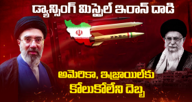 Sreeleela: శ్రీలీలను చెల్లెమ్మా అంటూ పిలిచిన అభిమాని...భలే కౌంటర్ ఇచ్చిన నటి!