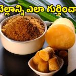 Jaggery: మీరు తినే బెల్లంలో సోడా కలిపారో లేదో.. ఇంట్లోనే ఇలా కనిపెట్టేయండి!