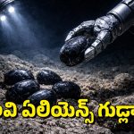 Black Eggs: సముద్రం అట్టడుగునా నల్ల రంగు గుడ్లు.. ఏంటా అని పరిశీలిస్తే..