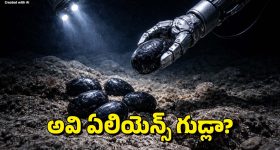 Black Eggs: సముద్రం అట్టడుగునా నల్ల రంగు గుడ్లు.. ఏంటా అని పరిశీలిస్తే..