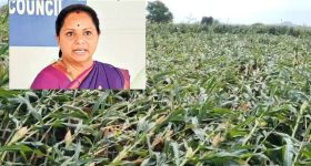 సోషల్ మీడియాలో విద్వేషం చిమ్మితే అంతే.. తెలంగాణ సర్కార్ సరికొత్త చట్టం
