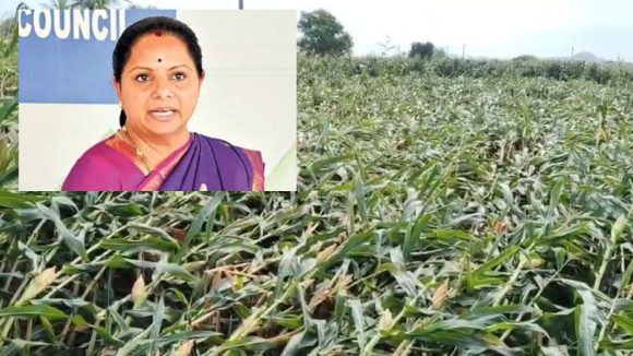 నేలపాలైన పంటలు.. కన్నీరుమున్నీరవుతున్న రైతన్నలు, ప్రభుత్వం ఆదుకోవాలని కవిత డిమాండ్
