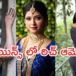 TV Heroines : ఈ కన్నడ సీరియల్ నటి చాలా చాలా రిచ్.. ఎంత సంపాదించిందో తెలిస్తే ఏమైపోతారో!