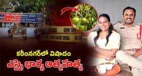 PVR Revenue: సినిమా టికెట్ రేట్ల వెనుక రెవెన్యూ మోడల్ ఇదే.. పంపకాలు రేషియో..